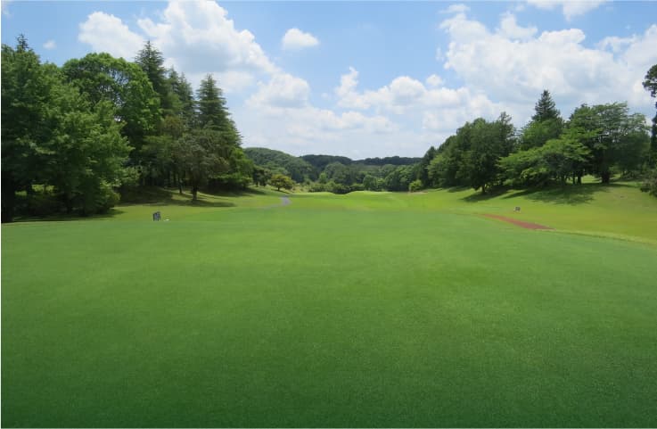 Hole No.1の画像
