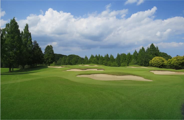Hole No.12の画像
