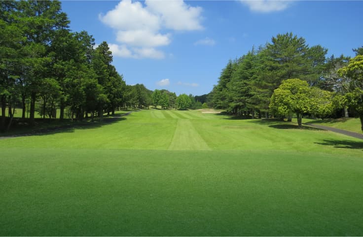 Hole No.15の画像