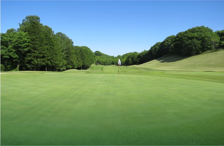 Hole No.2の画像