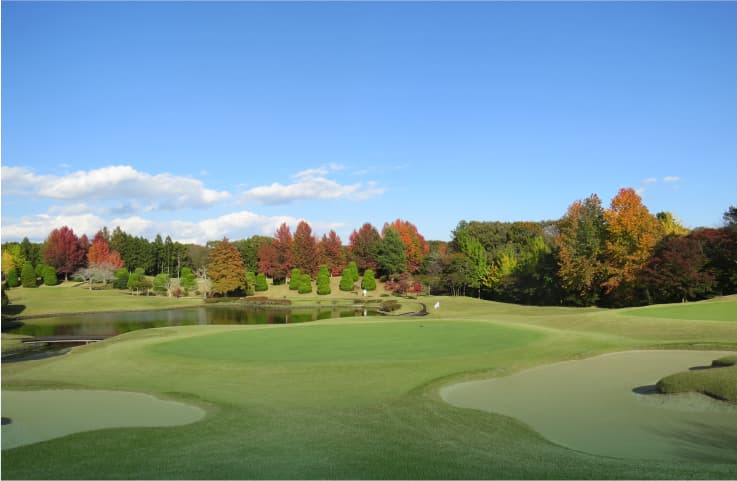 Hole No.5の画像