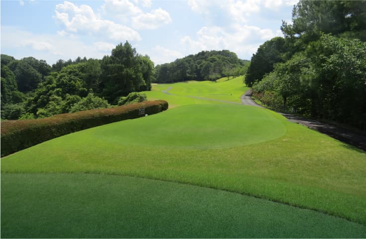 Hole No.6の画像
