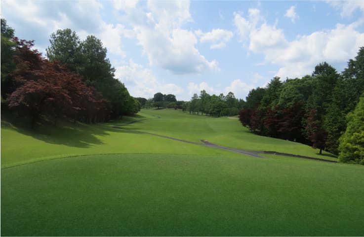 Hole No.7の画像