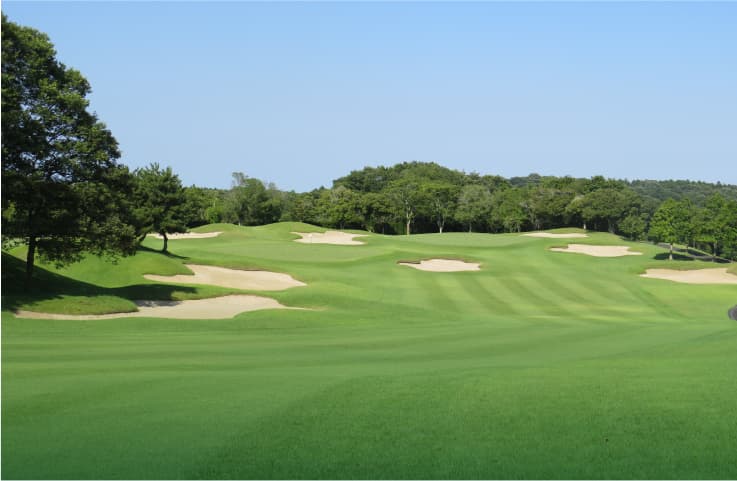 Hole No.8の画像
